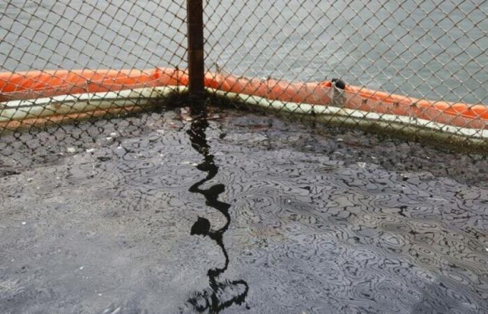 Oil spill: regional emergency declared in southern Russia and annexed Crimea