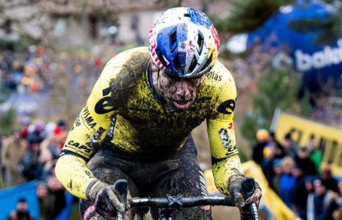 Cycling. Cyclo-cross – Wout Van Aert in Diegem on the 30th? : “Whatever he asks, we will pay”