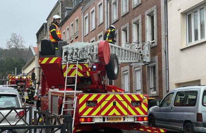 Trapped in a fire in Le Havre, a woman jumps out of the window and is seriously injured