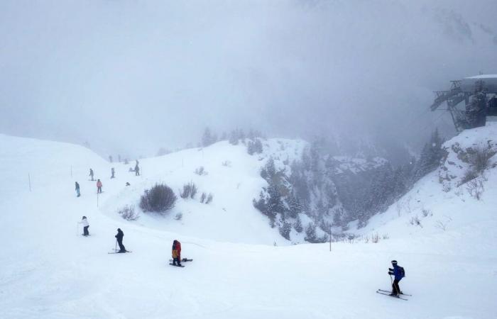 a surfer causing the avalanche? The investigators’ trail