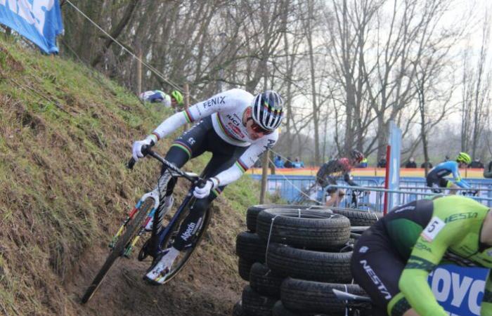 CdM Ciclocross, today in Gavere there is Van der Poel: route, favorites and where to see the race on TV