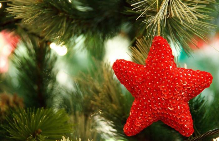 Christmas holidays in the Gard: what to do to fully enjoy them?