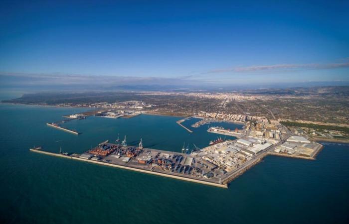 After the crisis, the Spanish port of Castellón seeks to revive trade with Algeria