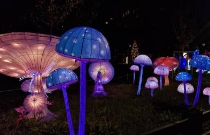 [Joyeuses fêtes] A magical world in the small Bagatelle park in Marseille