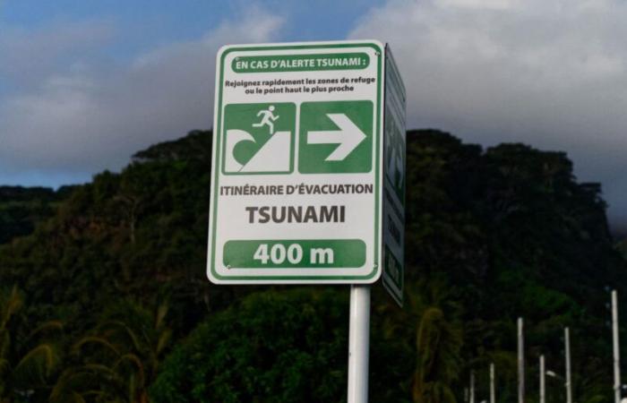 Tsunami: since the 2004 disaster in Thailand, France has set up an alert center