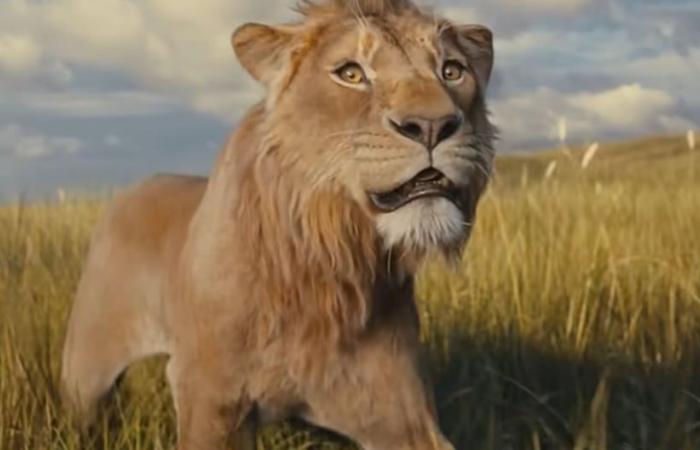 Mufasa: The Lion King: the questions about the original film that Mufasa answers | M.A.G.