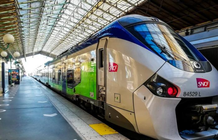 SNCF: the Paris-Briançon night train disrupted for work during winter 2025