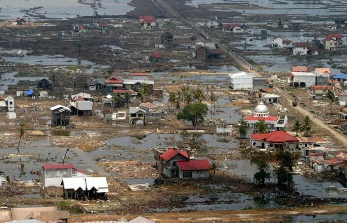 More than 220,000 deaths, waves 30 meters high… 20 years ago, the deadliest tsunami in history swept across Asia