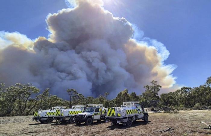 Heatwave sets up ferocious wildfires in Australia