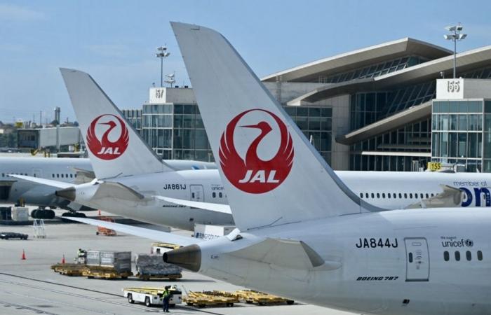 Flights delayed following cyber attack on Japan Airlines