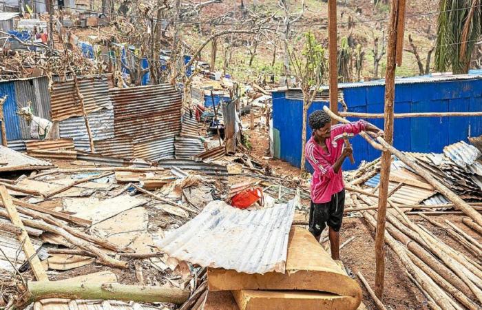 “We cannot make the same mistake”: in Mayotte, the capital Mamoudzou wants to put an end to the slums