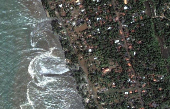 20 years ago the tsunami that devastated the countries bordering the Indian Ocean in 2004