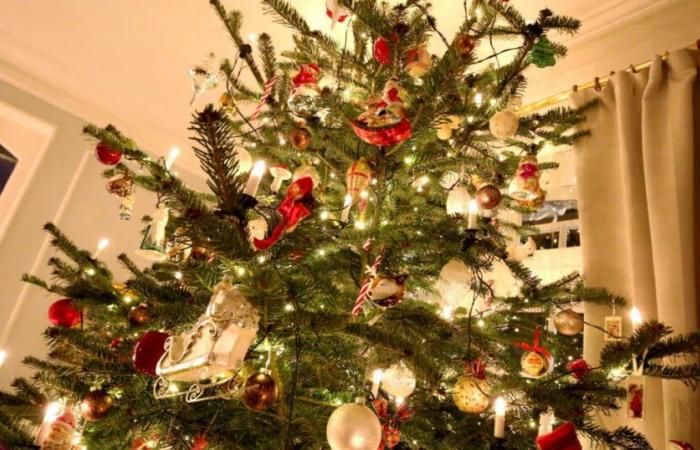 Metz. Do you know what to do with your Christmas tree after the holidays?