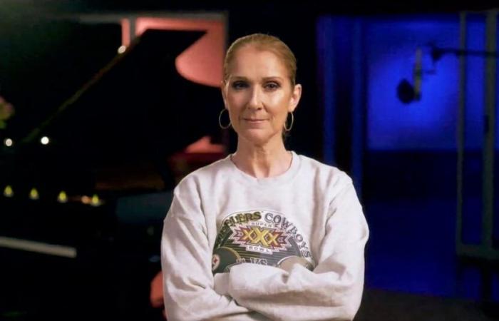 Céline Dion: This very touristy place in Paris broke its rules, especially for her!