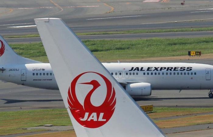 Several flights delayed following cyberattack on Japan Airlines