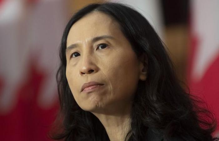 Avian flu concerns Dr. Theresa Tam as 2025 dawns