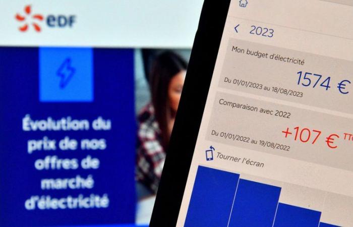 EDF sent an alert message: why will thousands of French people have to limit their electricity consumption this Friday?