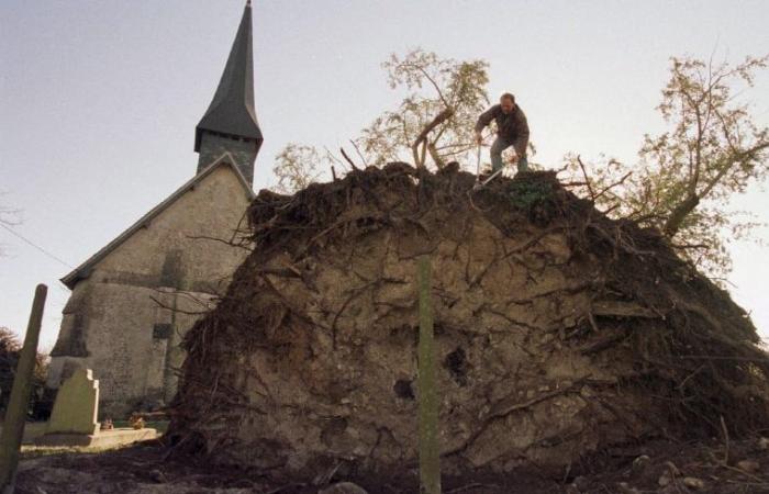 25 years ago, it was the storm of the century… A look back at the event in figures