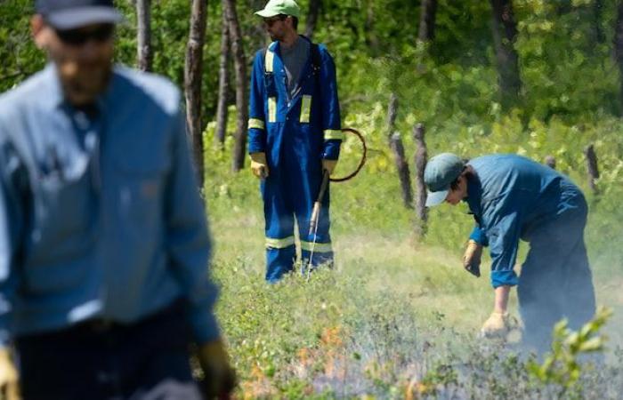 A look back at 2024 in pictures in Manitoba