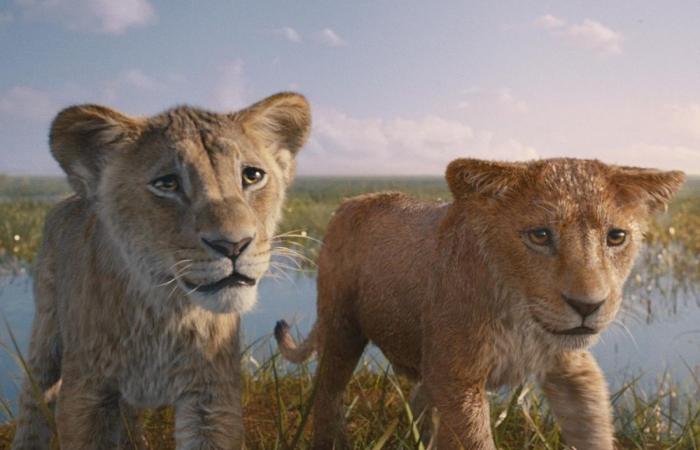 Mufasa: The Lion King: the questions about the original film that Mufasa answers | M.A.G.