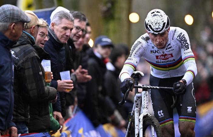 Cyclocross, van der Poel also wins big in Gavere. Vanthourenhout is second and extends his lead in the World Cup