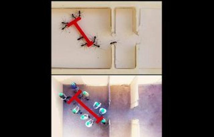 Scientists identify the mechanism by which gold reaches the Earth's surface!