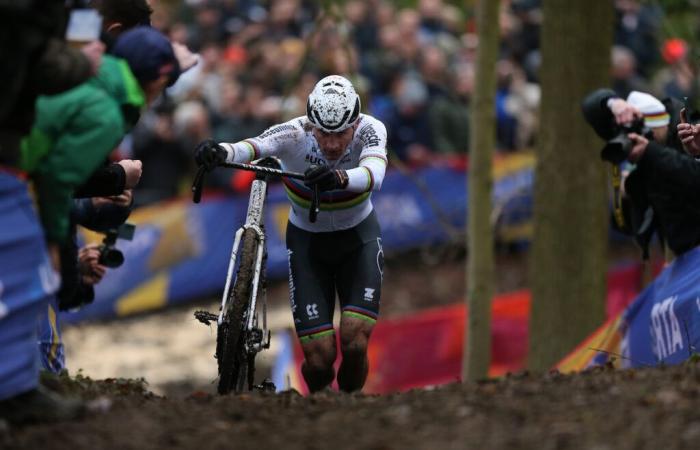 Van der Poel: third race in five days, third masterpiece in Gavere