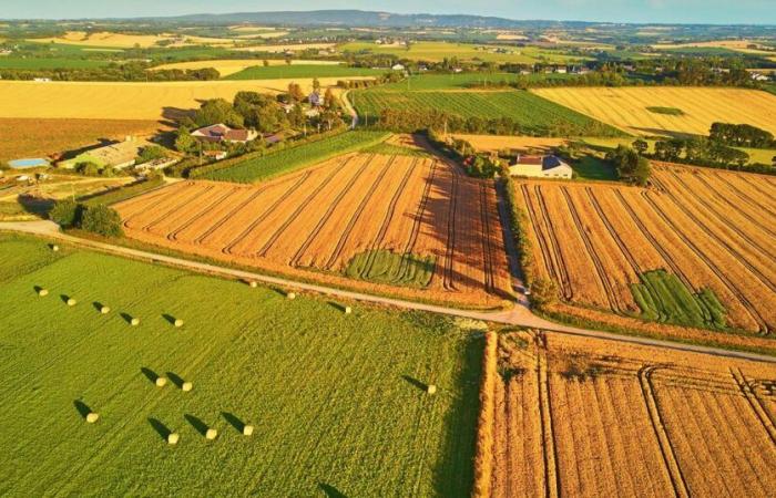 In France, an “almost systematic presence” of microplastics in soils