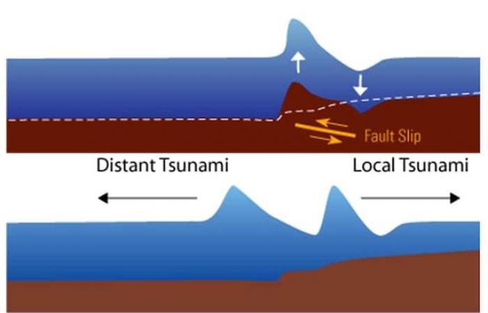 20 years ago the tsunami that devastated the countries bordering the Indian Ocean in 2004