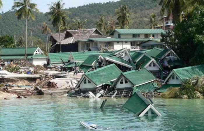 twenty years after the disaster in the Indian Ocean