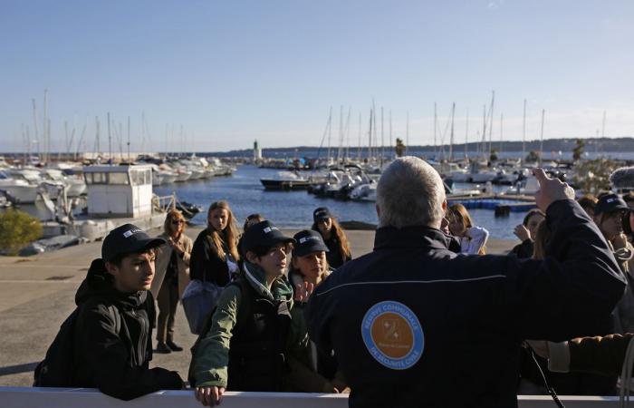 How Cannes is preparing for a tsunami