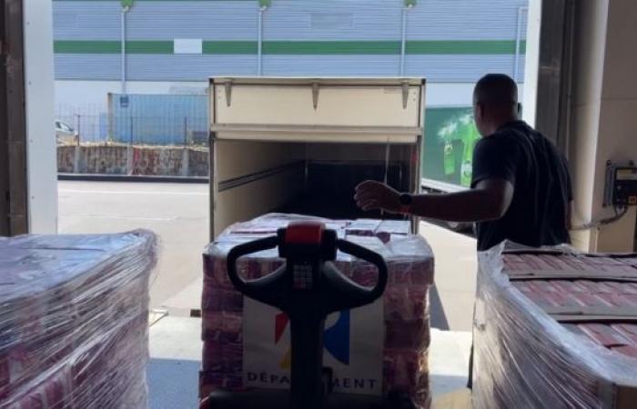 Solidarity with Mayotte: three tonnes of donations sent from Reunion