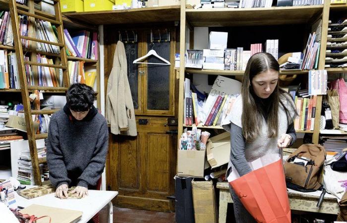 Saint-Girons. The La Mousson bookstore, a hive for book lovers