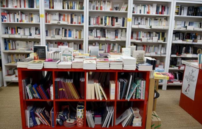 The Nouvelle-Aquitaine region launches a new book support contract