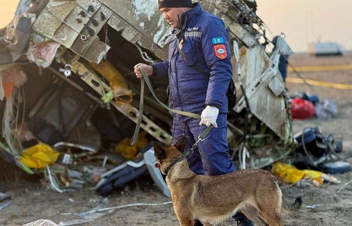 Russian missile, birds or explosion: what versions of the plane crash are put forward by the media and the authorities?