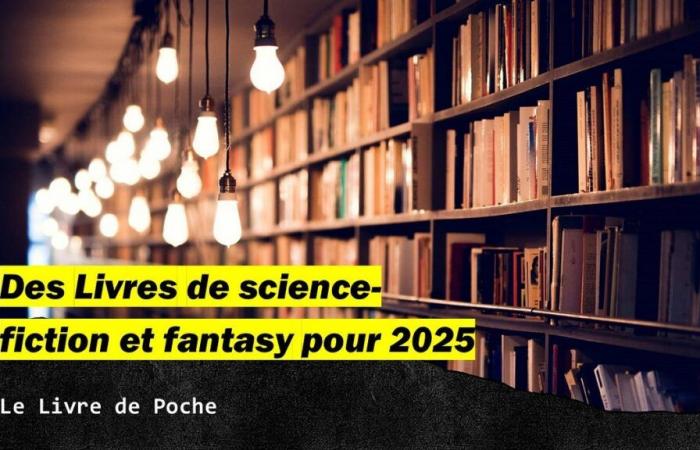 Science fiction and fantasy books for 2025: Le Livre de Poche | by Nicolas Winter | Dec, 2024