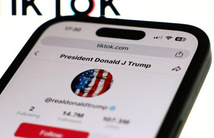 Donald Trump urges Supreme Court to suspend law threatening TikTok with ban