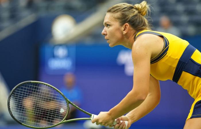 WTA > Petkovic: “I remain convinced that if Simona Halep had known straight away where the contamination was, she would have done exactly the same thing as Iga Swiatek or Jannik Sinner. She would have tried to get away with the least amount of trouble. ‘possible impact on his career’