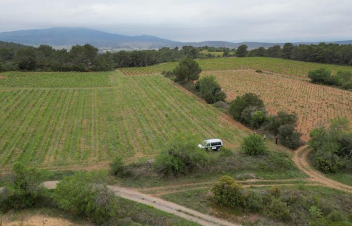 Occitania. They are looking for unoccupied land to put… vans