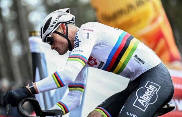 In Loenhout, Mathieu Van der Poel establishes his domination over cyclo-cross