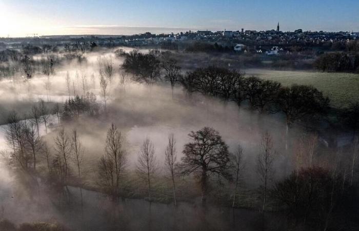 Between sun and fog, what will the weather be like during this last weekend of 2024?