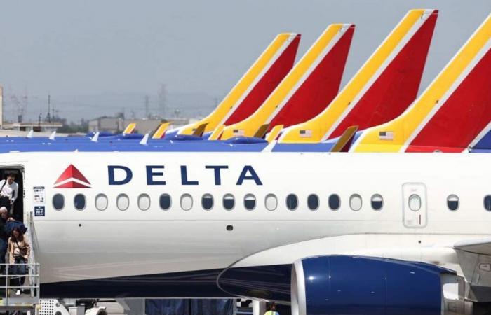 Passenger attempts to travel without a ticket on Delta Air Lines flight