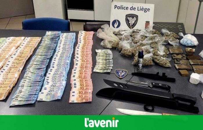 Major drug trafficking dismantled in Sclessin: “Nice haul”