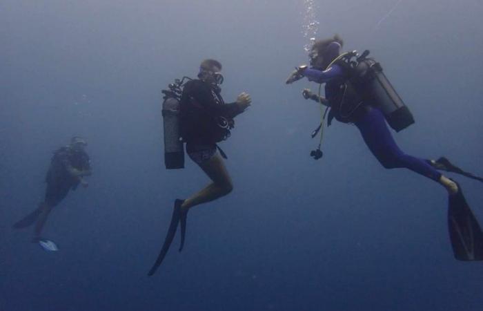 The Tarnais at the end of the world: Christophe swims with turtles and sharks in Tahiti