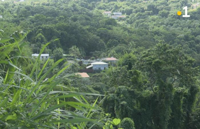 A man with autism, kept reclusive by his mother for 32 years, is found dead in a house in La Trinité