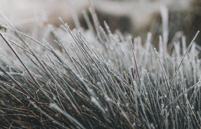 Weather: -8.2°C, -6.5°C, -5°C… big frosts in Aveyron this Friday morning, where was it the coldest?