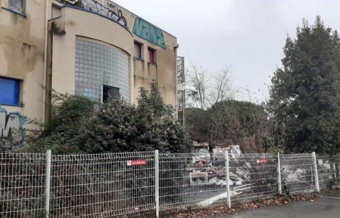 “No one dares to venture there”, “we often hear screams”: near the Cité de l’espace in Toulouse, a shantytown has been set up in offices