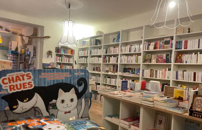 Aix: the Mon Chat Pitre bookstore launches its purr bookstore franchise