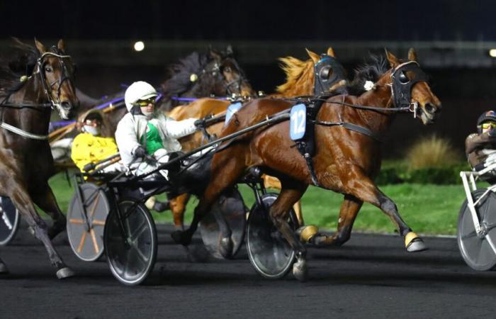 PMU – Arrival of the quinté on Friday December 27 at Paris-Vincennes: Beautiful Day is revealed in France