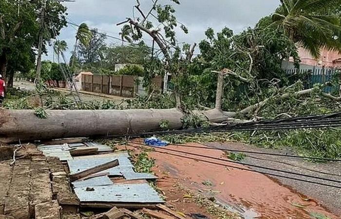 the Red Cross and the Red Crescent mobilized in Mozambique, Malawi and the Comoros